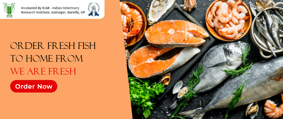 Online fish store in thrissur